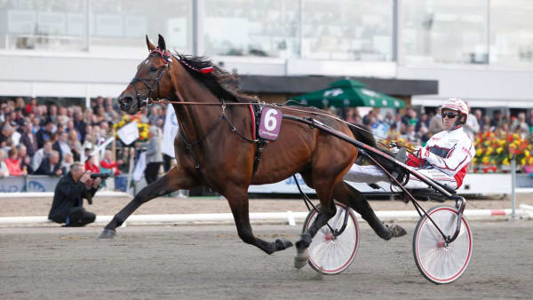 Foto: JEANNIE KARLSSON/TRAVRONDEN