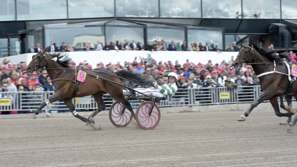 Foto: LARS JAKOBSSON / TR BILD