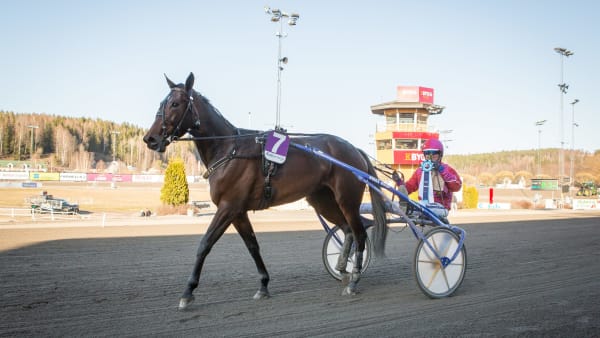 Foto: DAVID SCHREINER / TR BILD