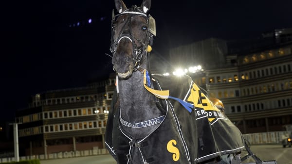 Foto: LARS JAKOBSSON / TR BILD