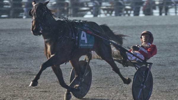 Foto: Woodbine Communications/Hambletonian Society
