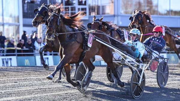 Foto: MALIN ALBINSSON / TR BILD