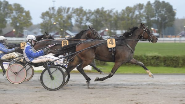 Foto: LARS JAKOBSSON / TR BILD