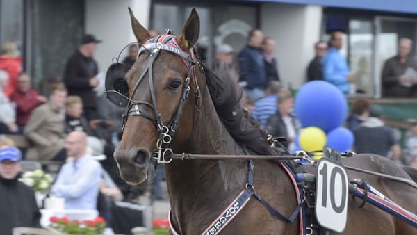 Foto: Lars Jakobsson/TR Bild