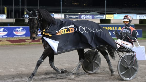 Foto: Lars Jakobsson / TR BILD