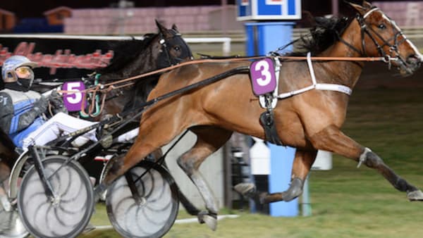 Foto: MALIN ALBINSSON / TR BILD