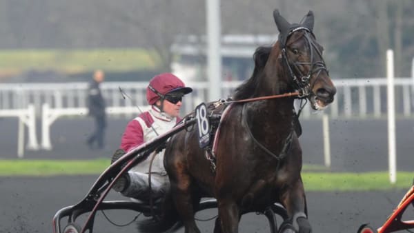 Foto: STEFAN MELANDER/STALL.TZ