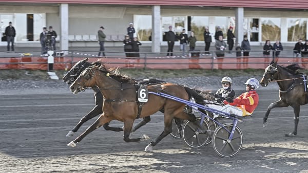 Foto: JENNY REHNMAN / TR BILD