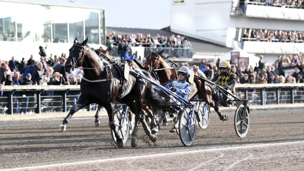 Foto: MALIN ALBINSSON / TR BILD