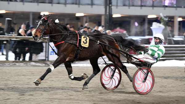 Foto: MALIN ALBINSSON / TR BILD