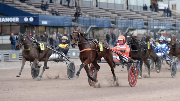 Foto: LARS JAKOBSSON / TR BILD