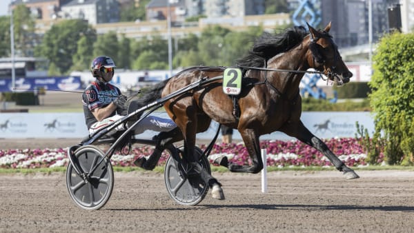 Foto: LENA EMMOTH / TR BILD