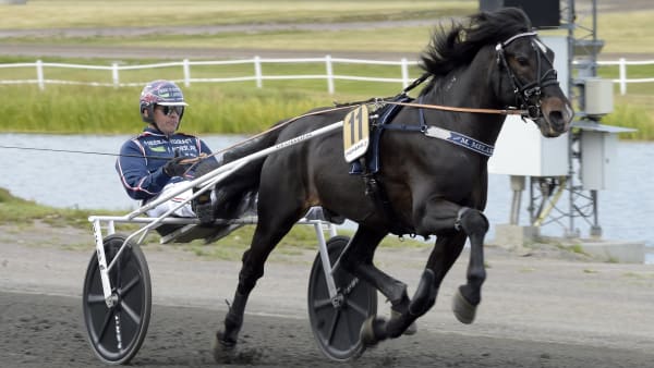 Foto: LARS JAKOBSSON / TR BILD