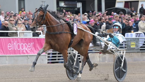 Foto: LARS JAKOBSSON / TR BILD
