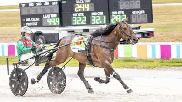 Foto: STUART MCCORMICK