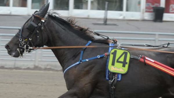 Foto: LEIF NORBERG/ALN