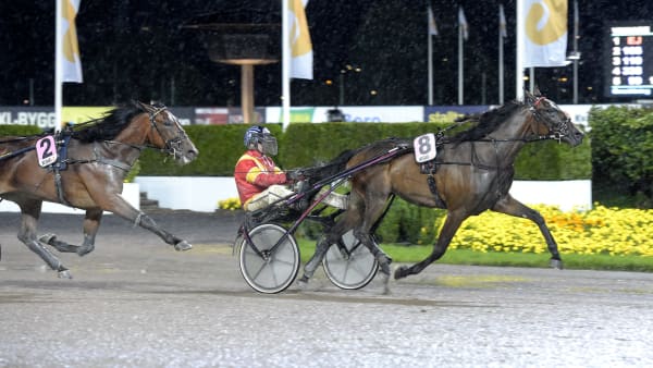 Foto: LARS JAKOBSSON / TR BILD