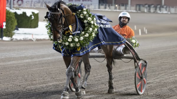 Foto: LENA EMMOTH / TR BILD