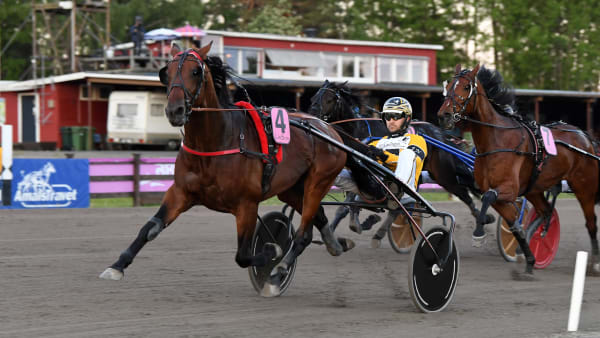 Foto: MALIN ALBINSSON / TR BILD