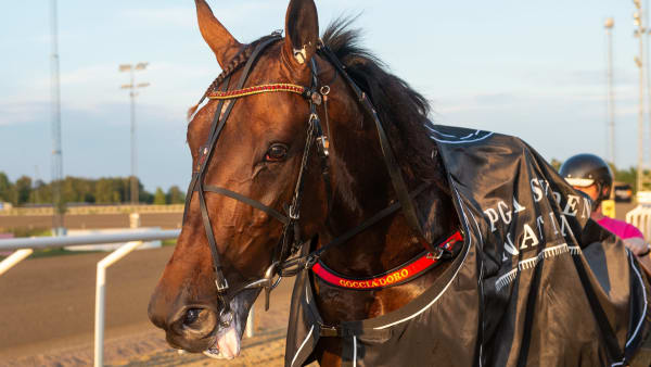 Foto: MIKAEL ROSENQUIST / TR BILD