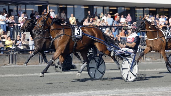 Foto: ROGER SVALSRÖD/HESTEGUIDEN