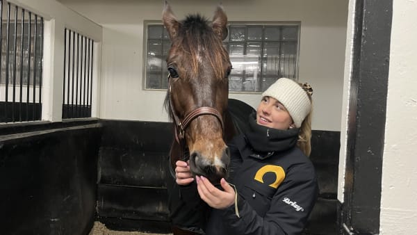 Foto: RICHARD HJELLSTRÖM / TRAVRONDEN