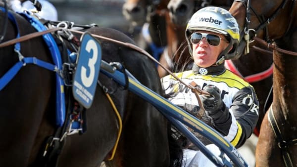 Foto: MIA TÖRNBERG/Travronden