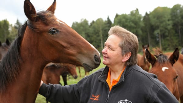 Foto: MARIA HOLMÉN / TR BILD