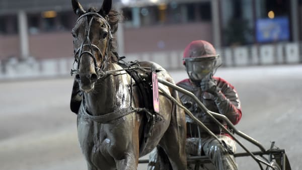 Foto: LARS JAKOBSSON / TR BILD