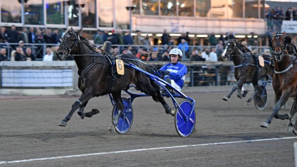 Foto: MALIN ALBINSSON / TR BILD