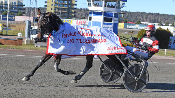 Foto: MALIN ALBINSSON / TR BILD