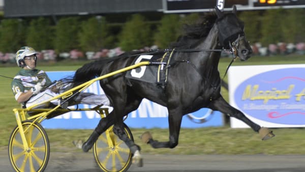 Foto: STEFAN MELANDER/STALLTZ.SE