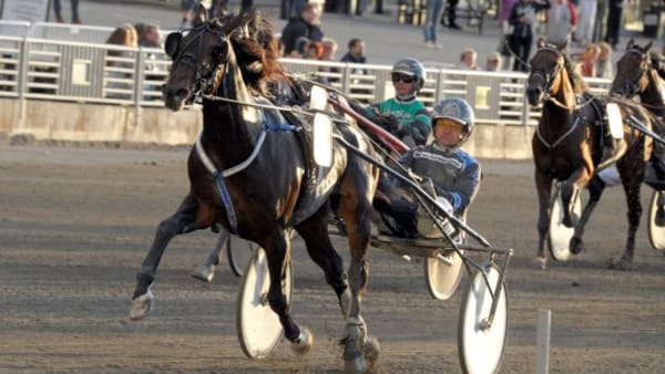 Foto: MARTIN LANGELS/ALN