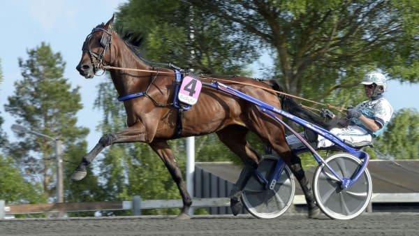 Foto: LARS JAKOBSSON / TR BILD