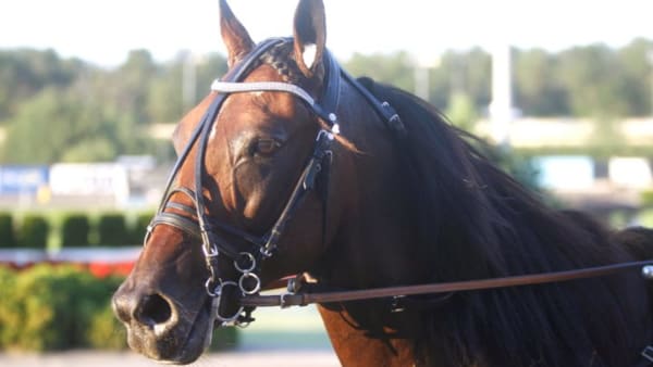 Foto: MICKE GUSTAFSSON/ALN