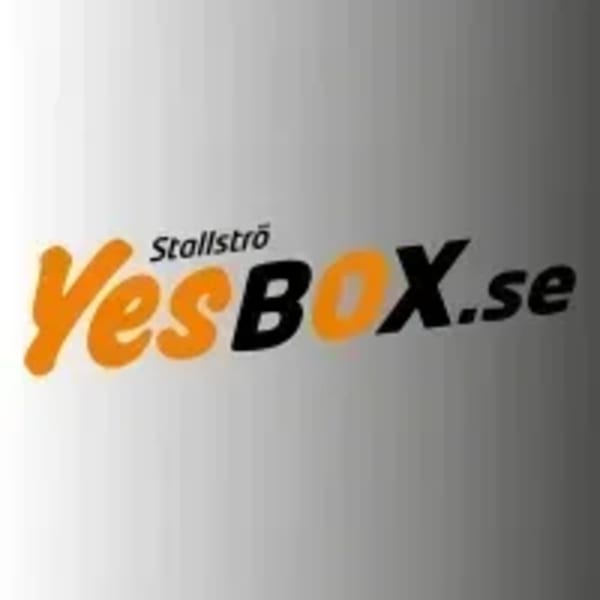 Yesbox Månadens prestation