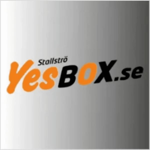 Yesbox Månadens prestation