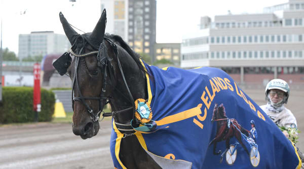 Foto: LARS JAKOBSSON / TR BILD