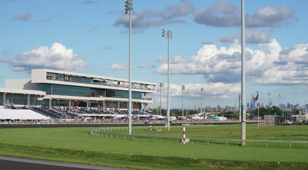 Genrebild över Meadowlands, sommartid.