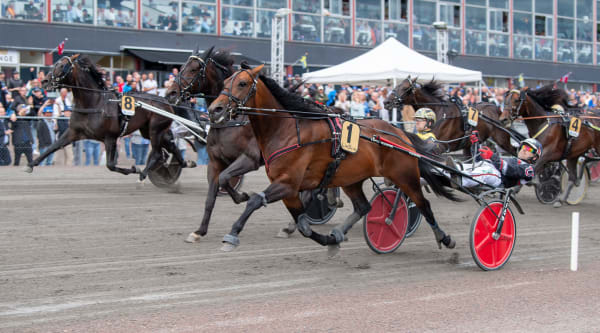 Foto: MIKAEL ROSENQUIST/TR BILD