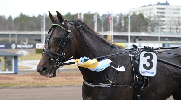 Foto: LARS JAKOBSSON / TR BILD