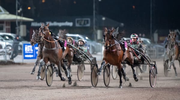 Foto: MIKAEL ROSENQUIST / TR BILD