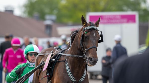 Foto: Thomas Blomqvist/TR BILD