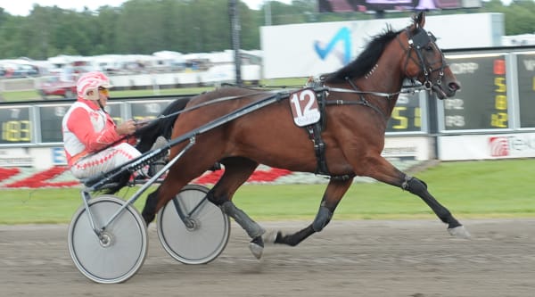 Foto: CLAES KÄRRSTRAND