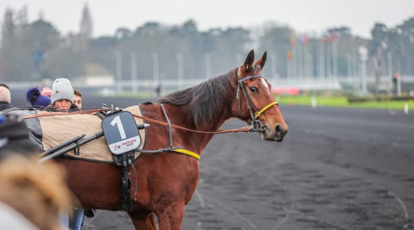 Foto: Bruno Vandevelde - Le Trot.
