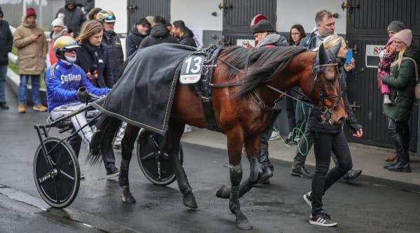 Foto: BRUNO VANDEVELDE/LE TROT