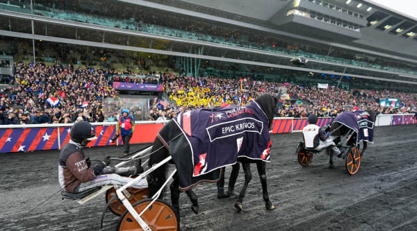 Foto: THOMAS BLOMQVIST / TR BILD