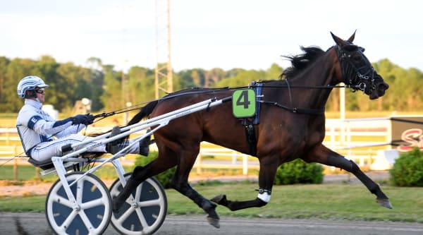 Foto: MALIN ALBINSSON / TR BILD