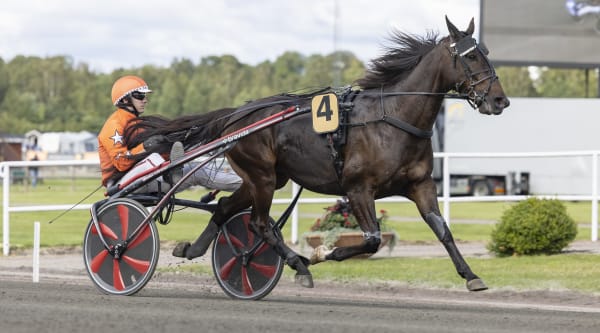 Foto: LENA EMMOTH / TR BILD