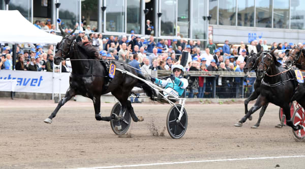 Foto: MALIN ALBINSSON / TR BILD